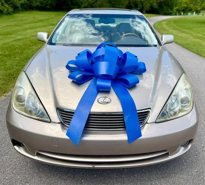 Sonora Gold Pearl 2005 Lexus ES 330 Base