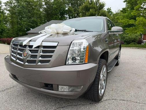 Silver Coast Metallic 2014 Cadillac Escalade Luxury