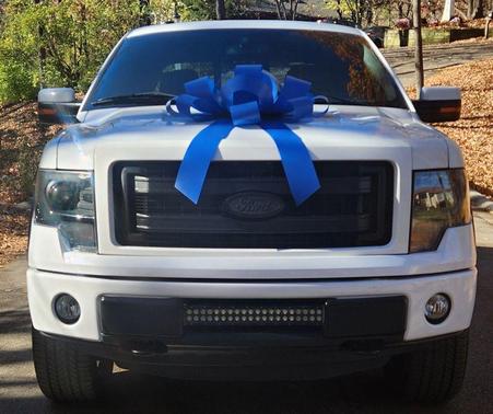 2013 Ford F-150 FX4