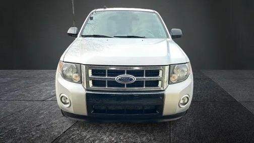 2009 Ford Escape XLT