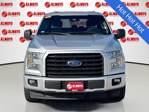 INGOT SILVER 2017 Ford F-150 XL
