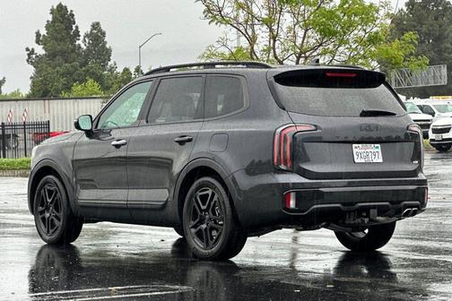 Panthera Metal 2025 Kia Telluride SX X-Line