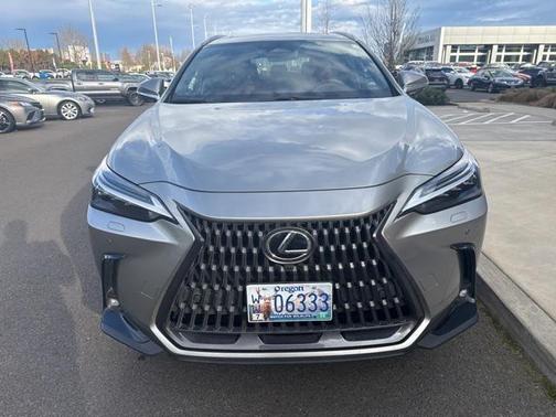 2022 Lexus NX 450h+ Luxury