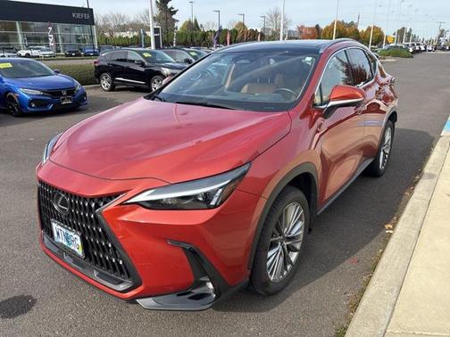 2023 Lexus NX 350 Luxury