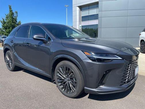 Cloudburst Gray 2025 Lexus RX 350 Luxury