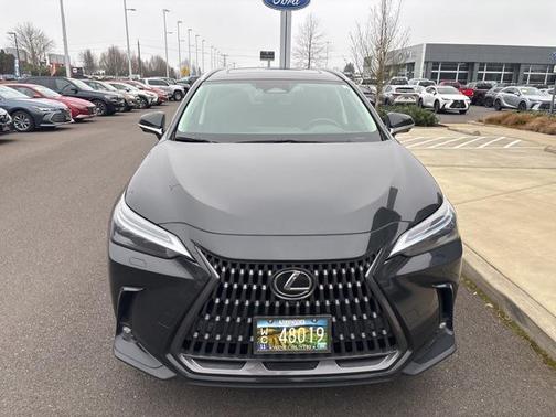 2024 Lexus NX 350h Luxury