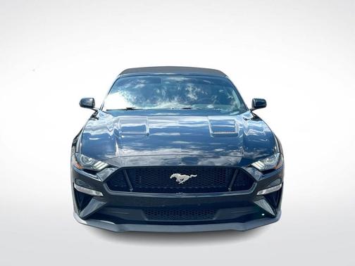 SHADOW BLACK 2019 Ford Mustang GT Premium