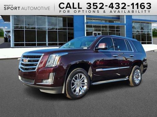 2017 Cadillac Escalade Standard