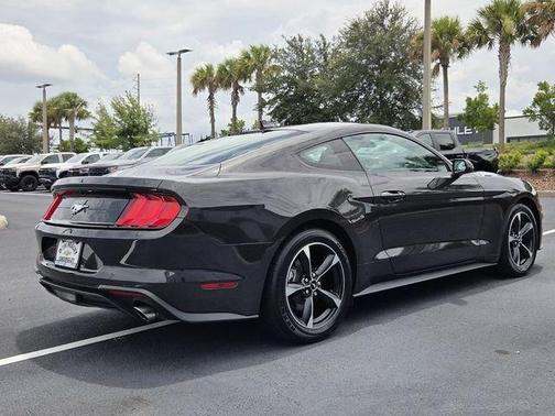Gray Metallic 2022 Ford Mustang EcoBoost
