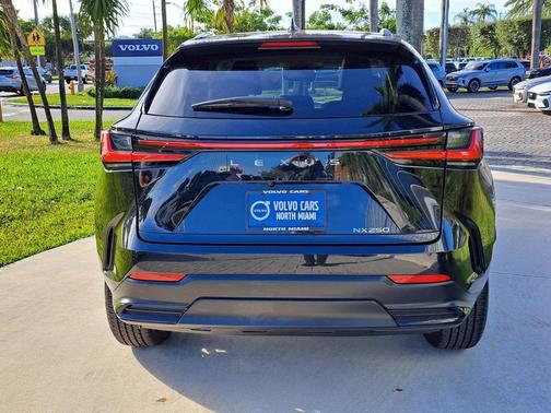 2022 Lexus NX 250 Premium