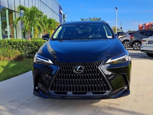 2022 Lexus NX 250 Premium