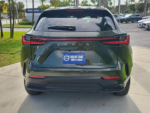 2023 Lexus NX 250 Premium