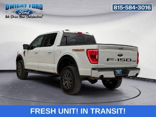 Avalanche 2023 Ford F-150 Tremor