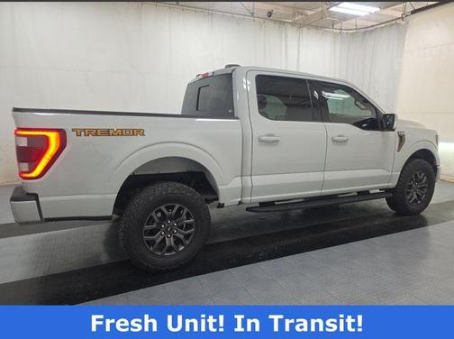 Gray 2023 Ford F-150 Tremor