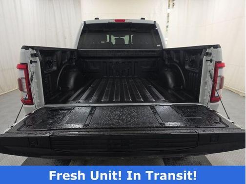 Gray 2023 Ford F-150 Tremor