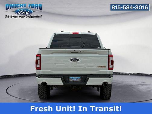 Gray 2023 Ford F-150 Tremor