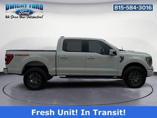 Gray 2023 Ford F-150 Tremor