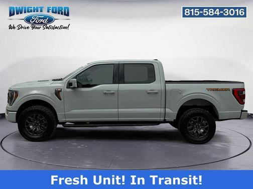 Gray 2023 Ford F-150 Tremor