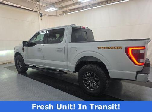 Gray 2023 Ford F-150 Tremor