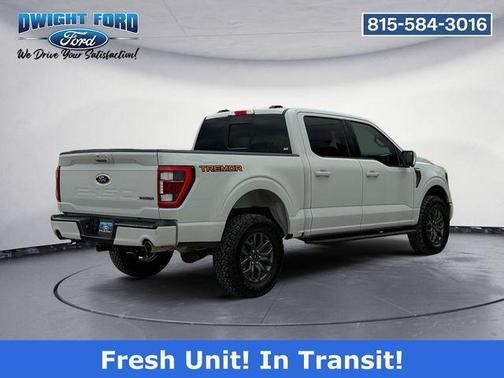Gray 2023 Ford F-150 Tremor