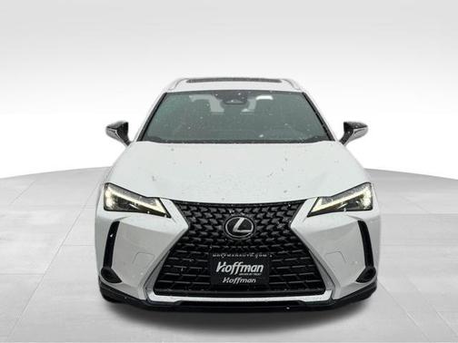 2025 Lexus UX 300h Premium