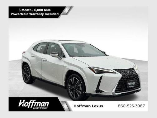 2025 Lexus UX 300h Premium