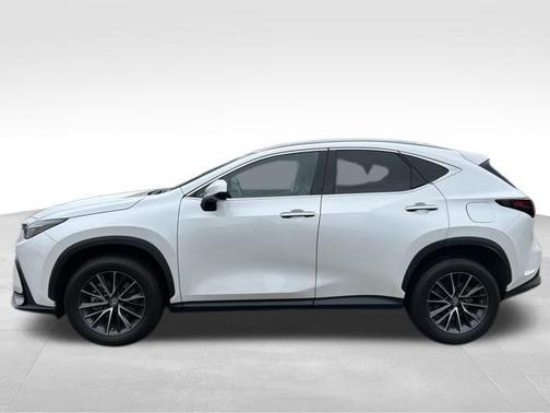 2023 Lexus NX 250 Premium