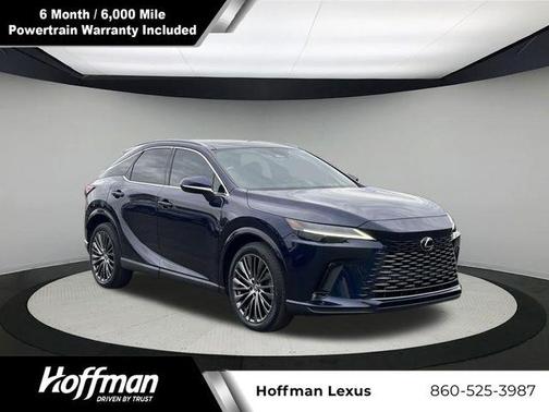 2023 Lexus RX 350 Luxury
