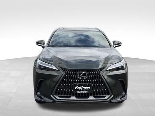 Nori Green Pearl 2025 Lexus NX 350 Premium