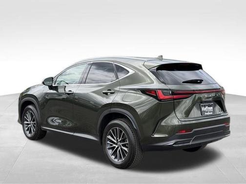 Nori Green Pearl 2025 Lexus NX 350 Premium