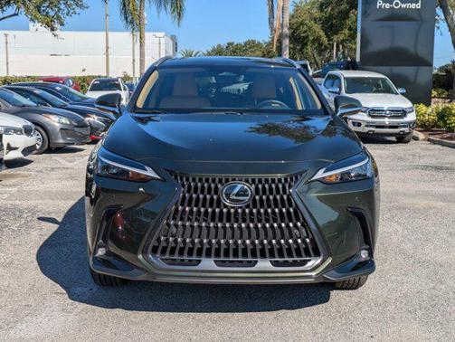 2025 Lexus NX 250 NX 250 Premium
