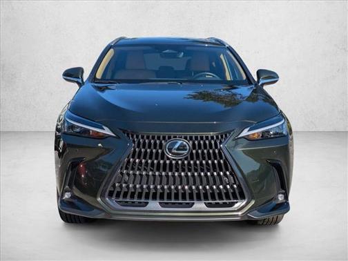 2025 Lexus NX 250 NX 250 Premium