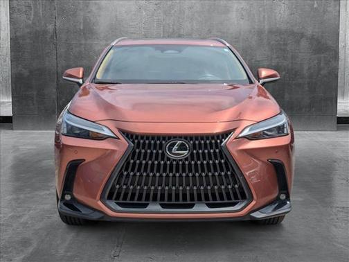 2025 Lexus NX 250 Premium