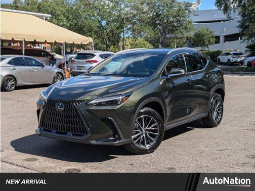 2025 Lexus NX 250 Premium