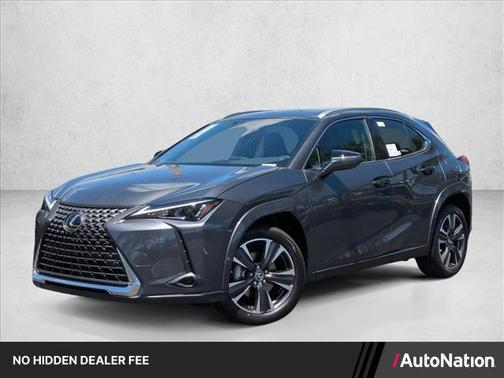 Cloudburst Gray 2026 Lexus UX 300h Premium