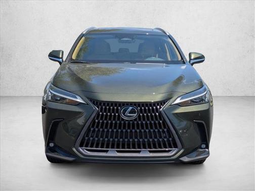 Nori Green Pearl 2025 Lexus NX 350 Premium