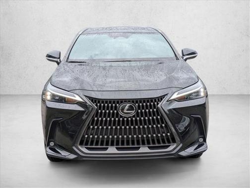 2024 Lexus NX 250 Premium