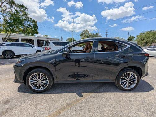 2022 Lexus NX 350h Luxury