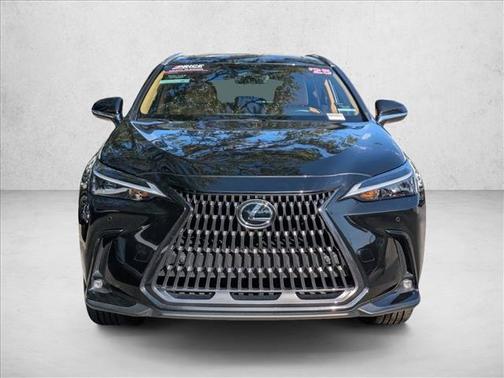 2025 Lexus NX 250 Premium