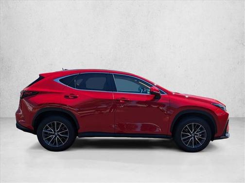 Redline 2025 Lexus NX 250 Premium