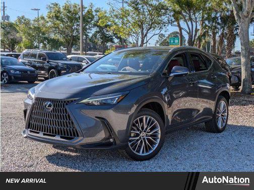Cloudburst Gray 2022 Lexus NX 350 Luxury