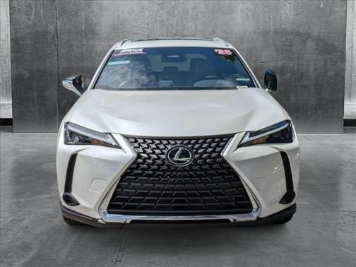 2025 Lexus UX 300h Premium