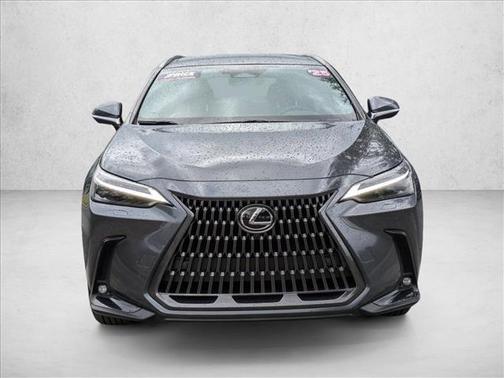 2025 Lexus NX 350 Luxury