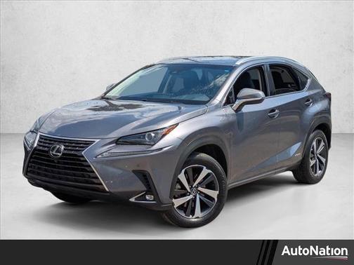Nebula Gray Pearl 2018 Lexus NX 300h Base