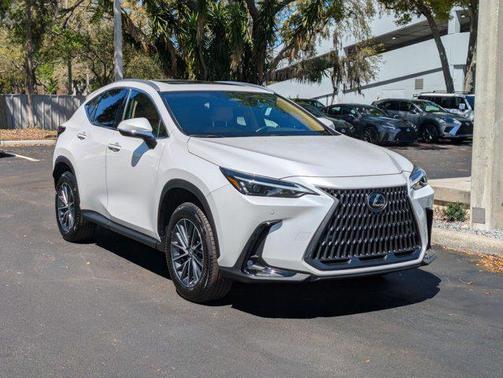 2025 Lexus NX 250 Premium
