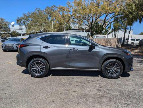 2025 Lexus NX 250 Premium