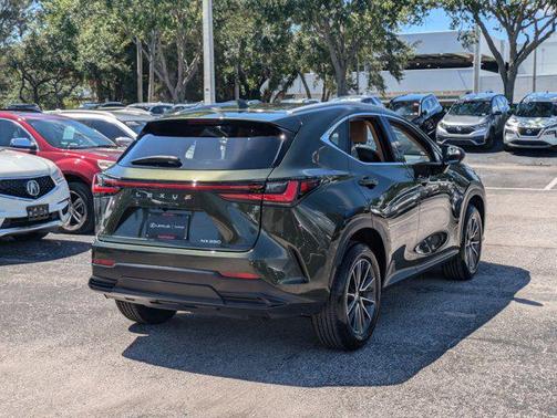 2025 Lexus NX 250 Premium