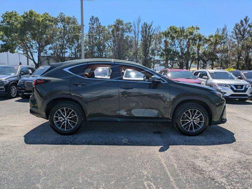2025 Lexus NX 250 Premium
