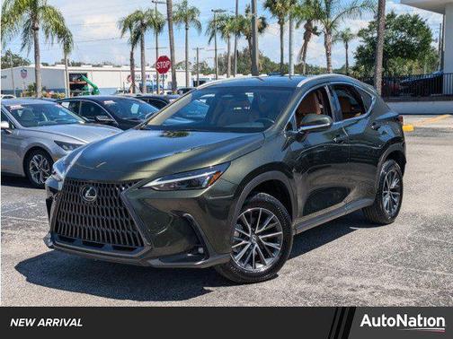 2025 Lexus NX 250 Premium