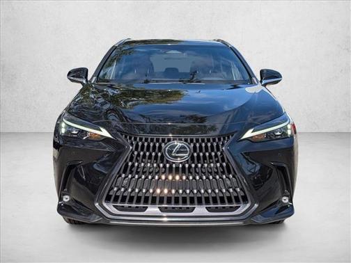 2023 Lexus NX 350 Premium